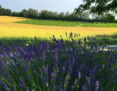 Agriturismo Ca'ramarra